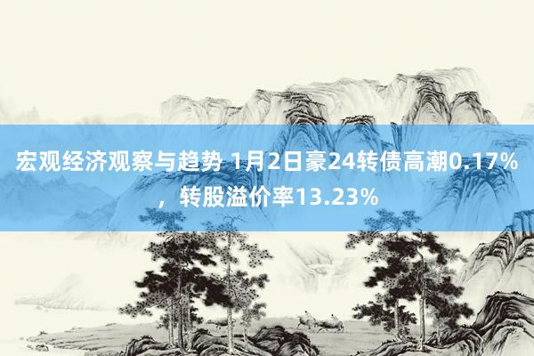 宏观经济观察与趋势 1月2日豪24转债高潮0.17%，转股溢价率13.23%