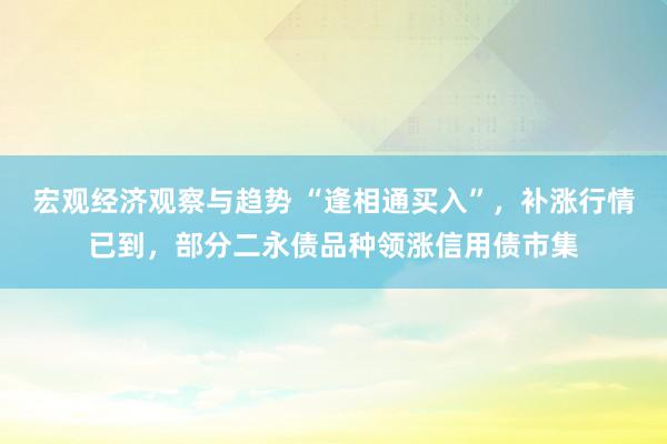 宏观经济观察与趋势 “逢相通买入”，补涨行情已到，部分二永债品种领涨信用债市集