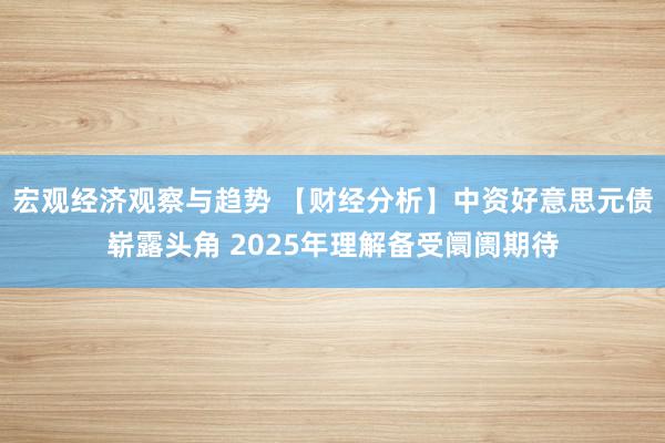 宏观经济观察与趋势 【财经分析】中资好意思元债崭露头角 2025年理解备受阛阓期待