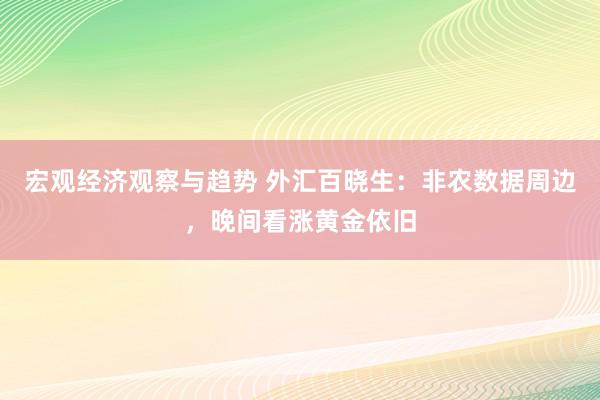 宏观经济观察与趋势 外汇百晓生：非农数据周边，晚间看涨黄金依旧