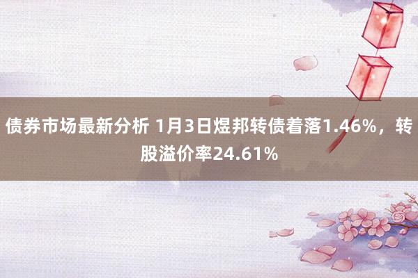 债券市场最新分析 1月3日煜邦转债着落1.46%，转股溢价率24.61%