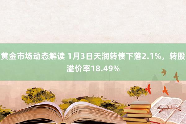 黄金市场动态解读 1月3日天润转债下落2.1%，转股溢价率18.49%