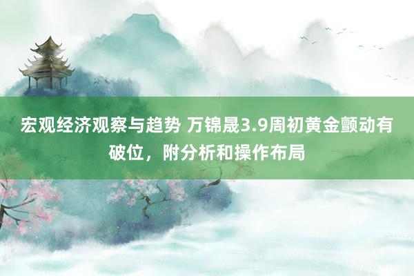 宏观经济观察与趋势 万锦晟3.9周初黄金颤动有破位，附分析和操作布局