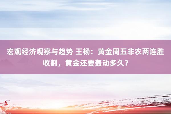 宏观经济观察与趋势 王杨：黄金周五非农两连胜收割，黄金还要轰动多久？