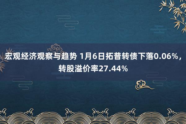 宏观经济观察与趋势 1月6日拓普转债下落0.06%，转股溢价率27.44%