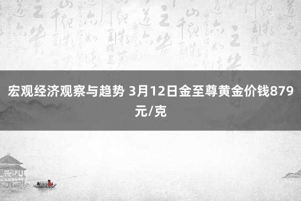 宏观经济观察与趋势 3月12日金至尊黄金价钱879元/克