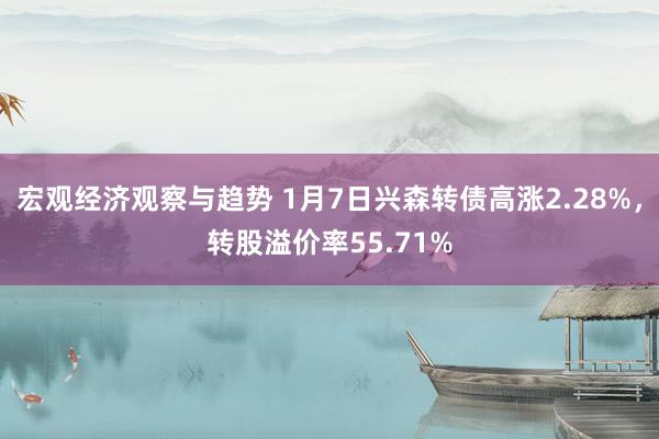 宏观经济观察与趋势 1月7日兴森转债高涨2.28%，转股溢价率55.71%