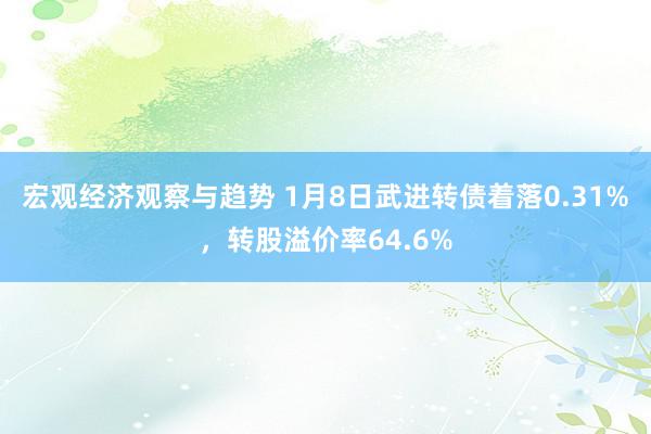 宏观经济观察与趋势 1月8日武进转债着落0.31%，转股溢价率64.6%