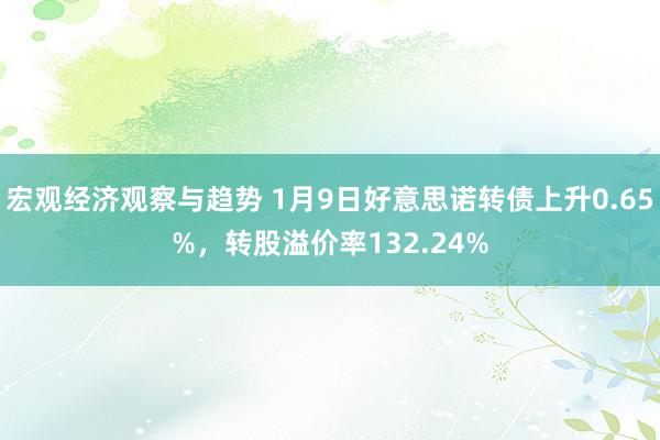 宏观经济观察与趋势 1月9日好意思诺转债上升0.65%，转股溢价率132.24%