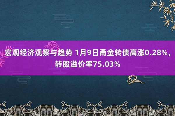 宏观经济观察与趋势 1月9日甬金转债高涨0.28%，转股溢价率75.03%